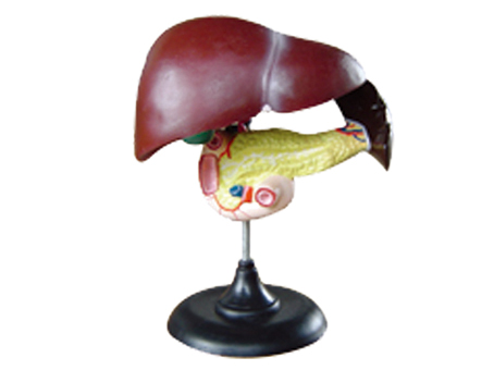 SD-093 33216ʮ֬cKģ